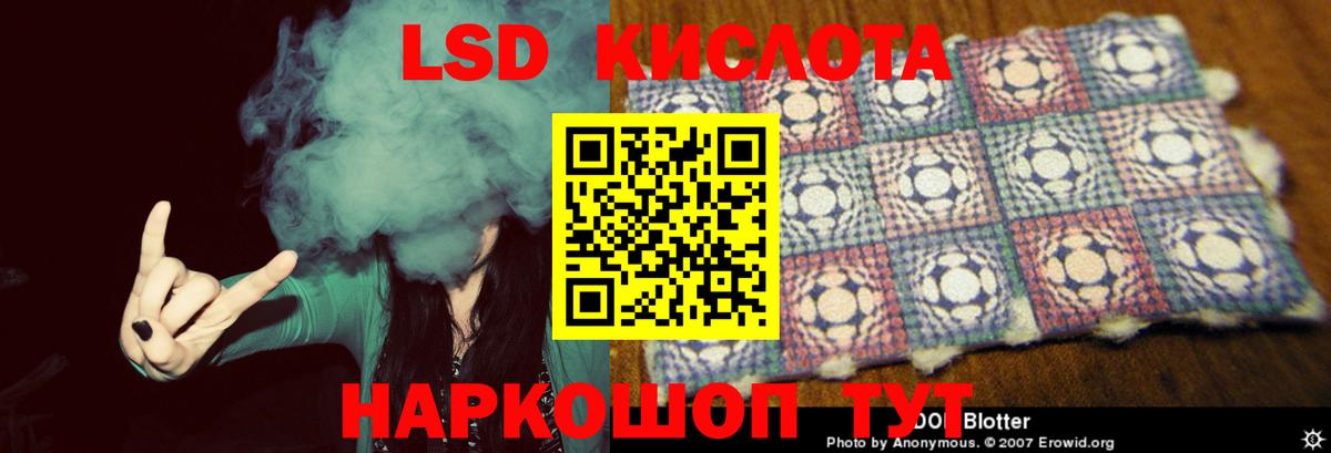 Бошки Шишки Кинель