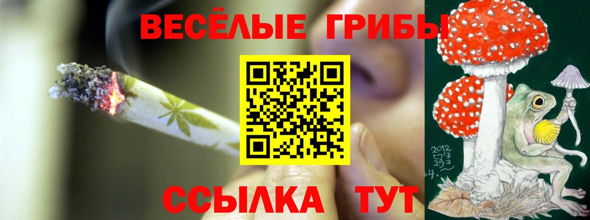 Псилоцибиновые грибы ЛСД Кинель