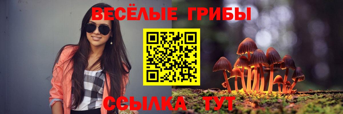 Псилоцибиновые грибы мухоморы  Вход с VPN  Кинель  Псилоцибиновые грибы Psilocybe 